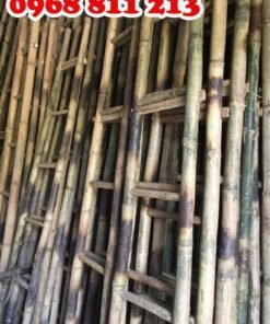 thang tre giá tốt tại Forbigsu