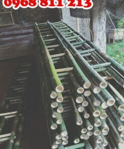 thang tre mẫu đẹp chất lượng