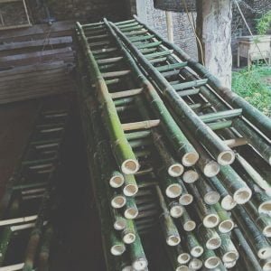 thang tre mẫu đẹp chất lượng