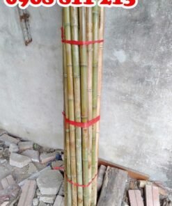 tre tươi làm giàn giáo