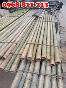 sạp tre chất lượng