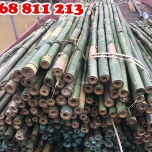 cán xẻng cán cuốc bằng tre