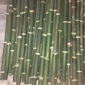 cán bằng tre chất lượng