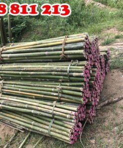 cán cuốc cán xẻng