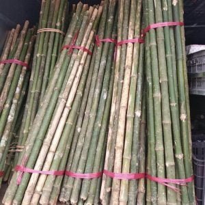 cán cuốc cán xẻng bằng tre