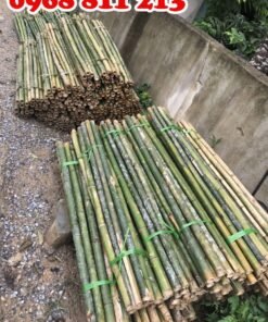 cán cuốc cán xẻng các loại