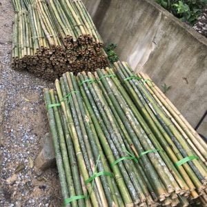 cán cuốc cán xẻng các loại