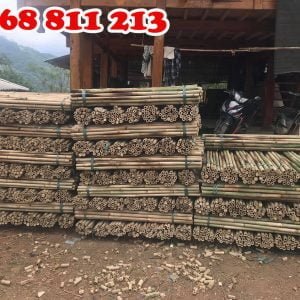 sản xuất cán các loại