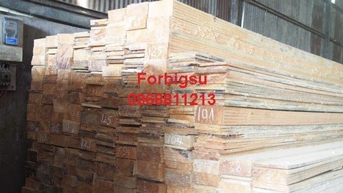 ván cốp pha gỗ thông