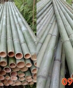 Bè tre - Phương tiện di chuyển hữu ích trên mặt nước