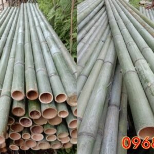 Bè tre - Phương tiện di chuyển hữu ích trên mặt nước