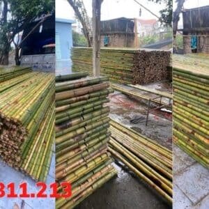 dia-chi-ban-sap-truc