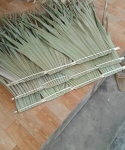 Lá cọ loại kẹp tranh