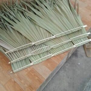 Lá cọ loại kẹp tranh